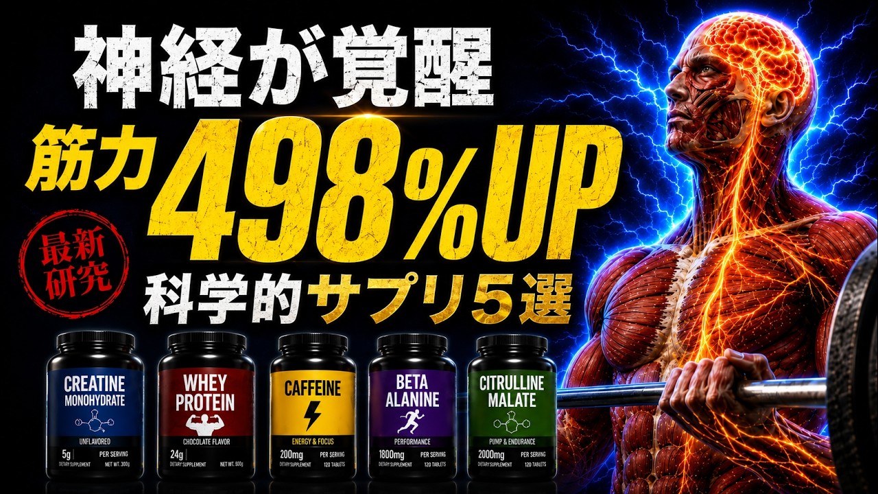 【2026年最新版】筋力増強率を倍増させるサプリTOP5　~神経を活性化し筋力を上げる~