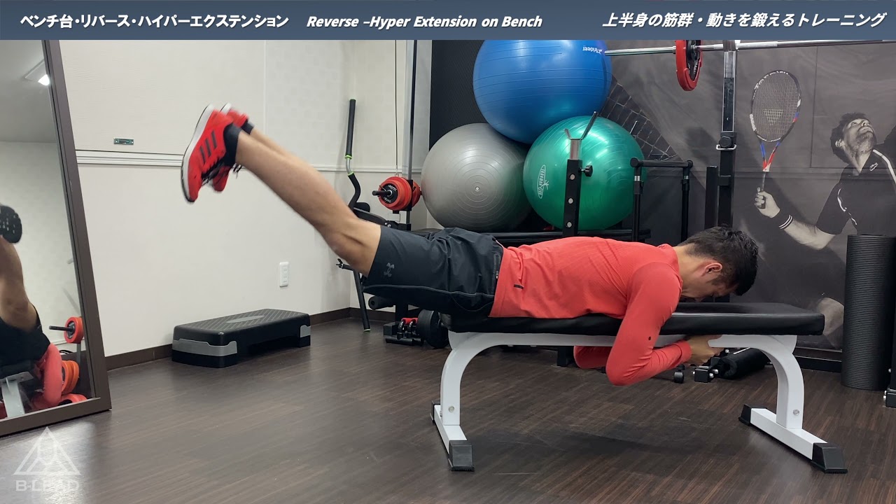 ベンチ台・リバース・ハイパーエクステンション｜Reverse –Hyper Extension on  Bench｜上半身・下半身の筋群を鍛えるトレーニング