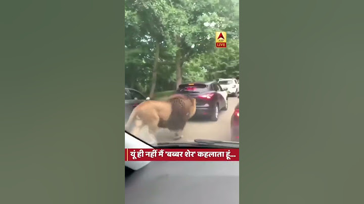 Lion On Road.. Babbar Sher Road per aa gya..Lion Video.King of Forest..