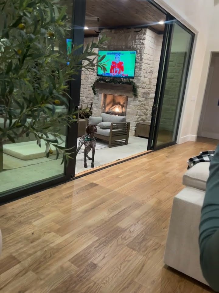 Dog Doesn't Realize Door Is Open || ViralHog
