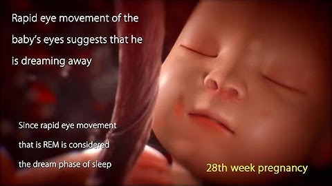 28 Weeks Pregnant: Watch Your Baby