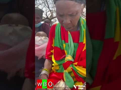 WBO Oromo Music
