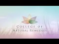 Herbal Remedies Introductory Certificate Online Course Herbal Remedies Introductory Certificate Online Course