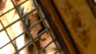 CIMG9971.AVI