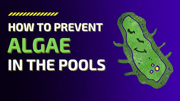 Best Way to Prevent Algae Growth in Pools