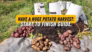 Grow Potatoes for a HUGE Harvest | Start to Finish Guide for Container Gardening