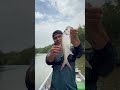 Lukut ade ikan #part2