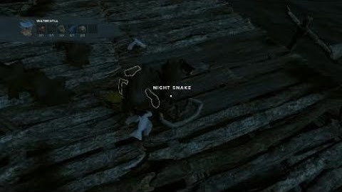 Two of Each Trophy Stranded Deep