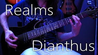 Realms - Dianthus (guitar cover)
