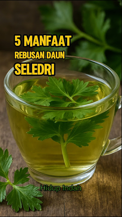 5 Manfaat Rebusan Daun Seledri
