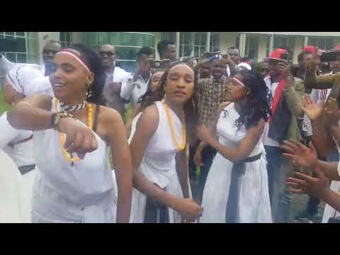 OROMOON SIYAASAAN BIYYA MOOTE JALA BULTII AYYAANA IREECHAARATTI HELLE SHAMARAN HARARGEE