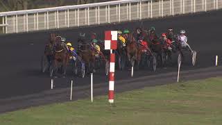 Vidéo de la course PMU PRIX DE LA BRESSE
