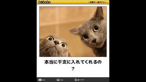 動物ボケて Youtube