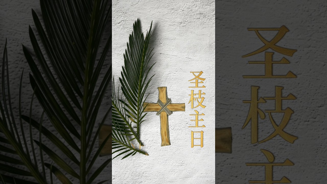 圣枝主日 - 从欢呼到十字架 - YouTube