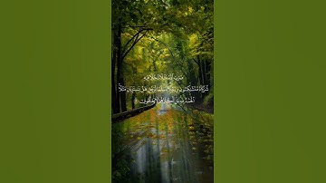 إنك ميت وإنهم ميتون|| تلاوة خاشعة💙🎧 بصوت صالح اليافعي #سورة_الزمر