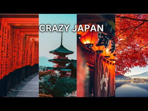 japan solo travel tokyo vlog osaka castle 2024