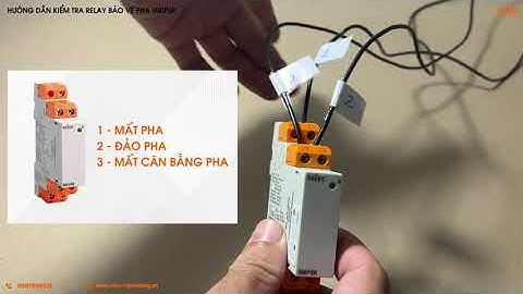 HƯỚNG DẪN KIỂM TRA LỖI RELAY BẢO VỆ PHA 600PSR | SELEC