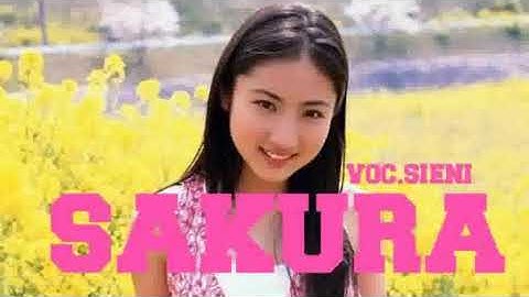 SAKURA POP MANDARIN INDONESIA