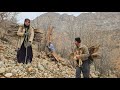 ❄️documentary about nomadic life:🪵🪓collecting firewood for the cold winter days and trying survive🔥