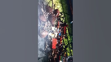 Sancak metin 2 SeM 7x hack