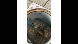 Fonctionnement d’un Nivel-Eau
