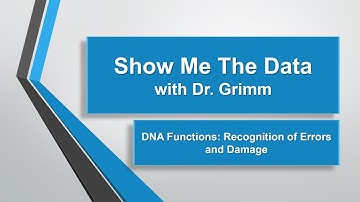 Recognition and repair of DNA damage and errors