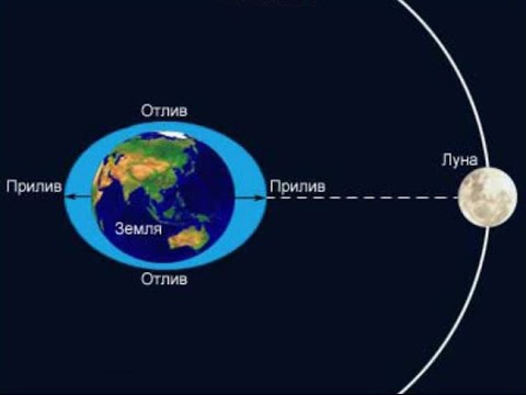 2 Разных объяснения причин приливов и отливов. Кондрашов А.А. и Канал Знание Тесла