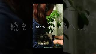 Caravan / MIHO piano弾き語り(jazz cover)