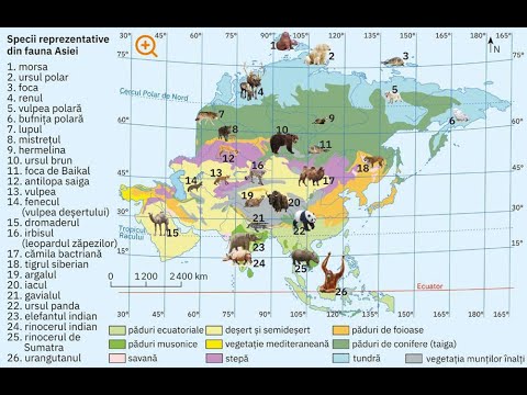 Video: Care este un exemplu de biogeografie a insulei?