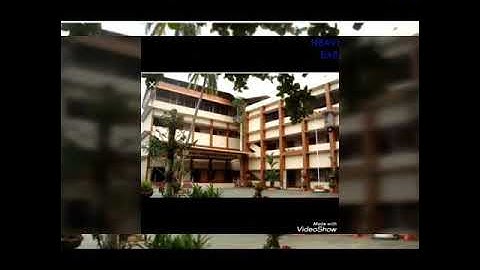 QUARANTINE DANCE LOOP