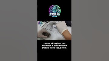 FFPE sample preparation