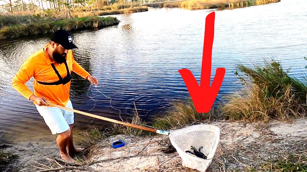 Catching BIG Blue Crabs on Hand Line! 