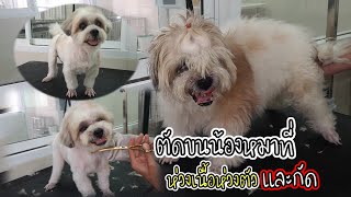 ตัดขนน้องหมาที่ ห่วงเนื้อห่วงตัว ทั้งดื้อทั้งกัด😥⚠️🐶