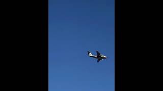 精鋭無比 陸自第一空挺団 降下訓練 Airborne Training 精鋭無比 陸自第一空挺団 降下訓練 Airborne Training