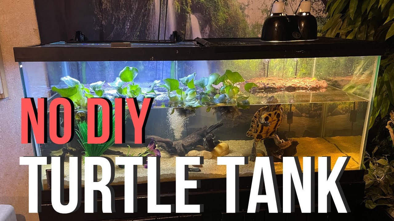 NO DIY) TURTLE TANK SETUP! - EASY Beginner Turtle Aquarium 