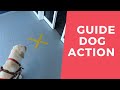 Solo Blind Adventure to the Club for Lunch - Guide Dog Action