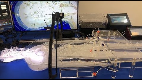 EndoVascular Intervention Trainer | Endovascular Interventions | EVT