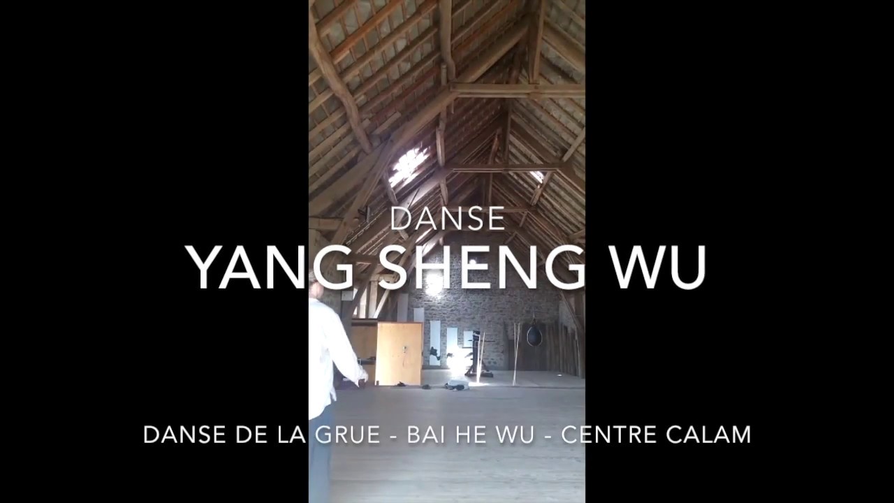 Yang Sheng Wu® - Danse de la Grue