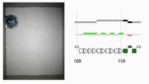 Ernest in an e-puck robot