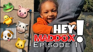 HEY MADDOX: EP. 1 | LEARN SHAPES, COLORS & MORE
