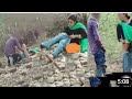 Ek Ganne ke khet pakde gaye ladki ladka full hot video 2021