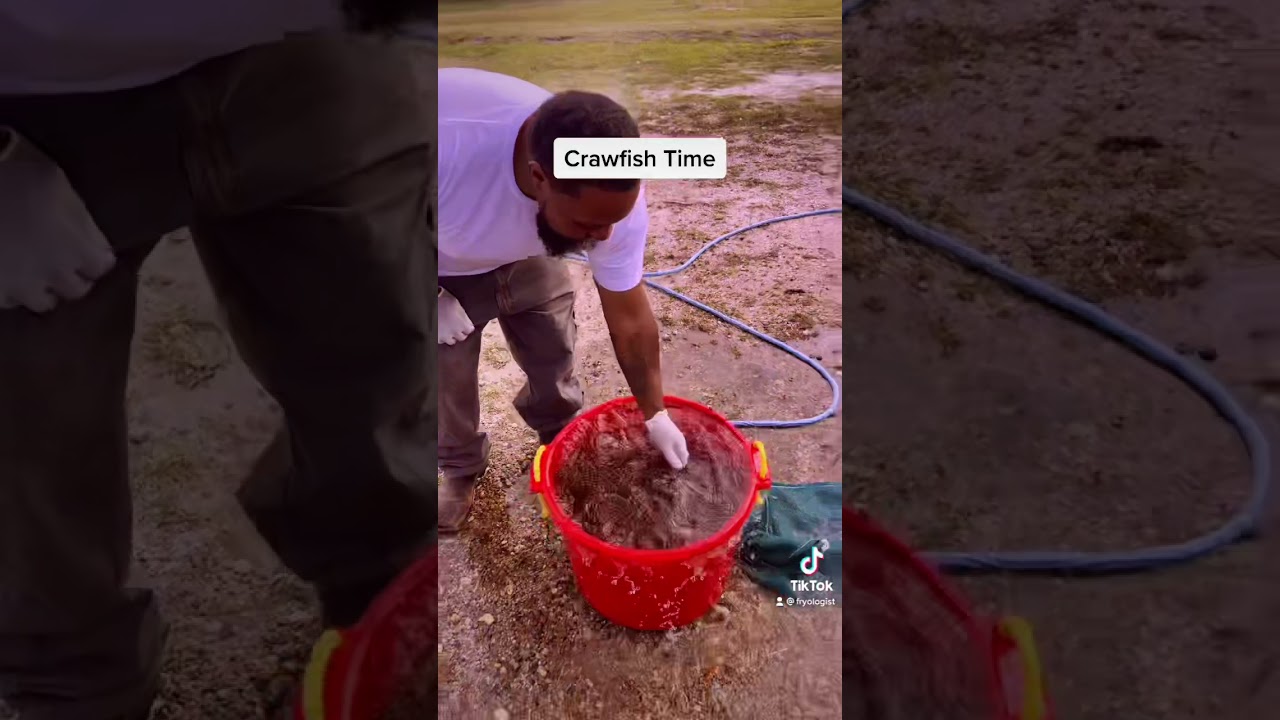 Heavy’s No Water Boil YouTube