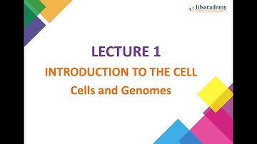 LECTURE 1 Introduction to the Cell: Cells and Genomes
