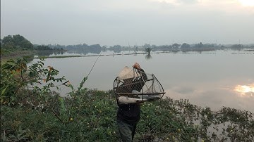 Thăm Lờ Dính 3 Con Cá Rô Đồng, 2 Con Cá Trê Lai Ruộng, 1 Con Cá Rô Phi @TámCáVlog1979 