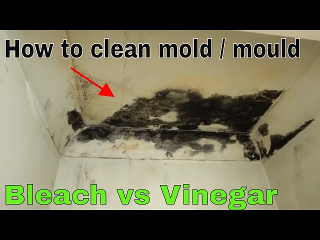 Black Mold Removal - Natural Ways to Get Rid of Black Mold