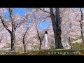 おもひではらり(桜のうた) / MAYU (Music Video)🌸