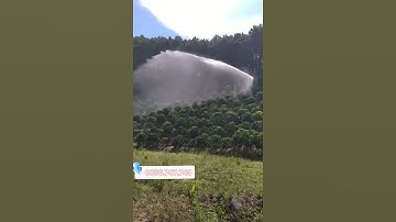 Béc tưới bt42 tưới cực đẫm, đều , mịn. Chuyên phun tưới cà phê , tiêu , chè , cây công nghiệp