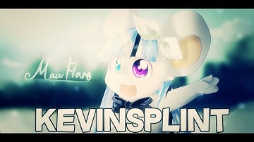 Transformice : Kevinsplint