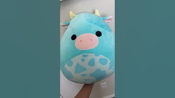 Squishmallow collection check #squishmallows #check #squishmallowcheck