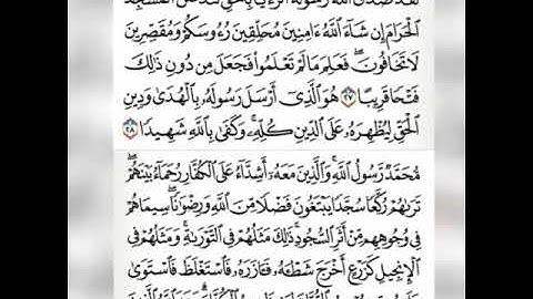 أواخر سورة الفتح برواية السوسي عن أبي عمرو مع الشيخ سعيد ملحم القلقيلي